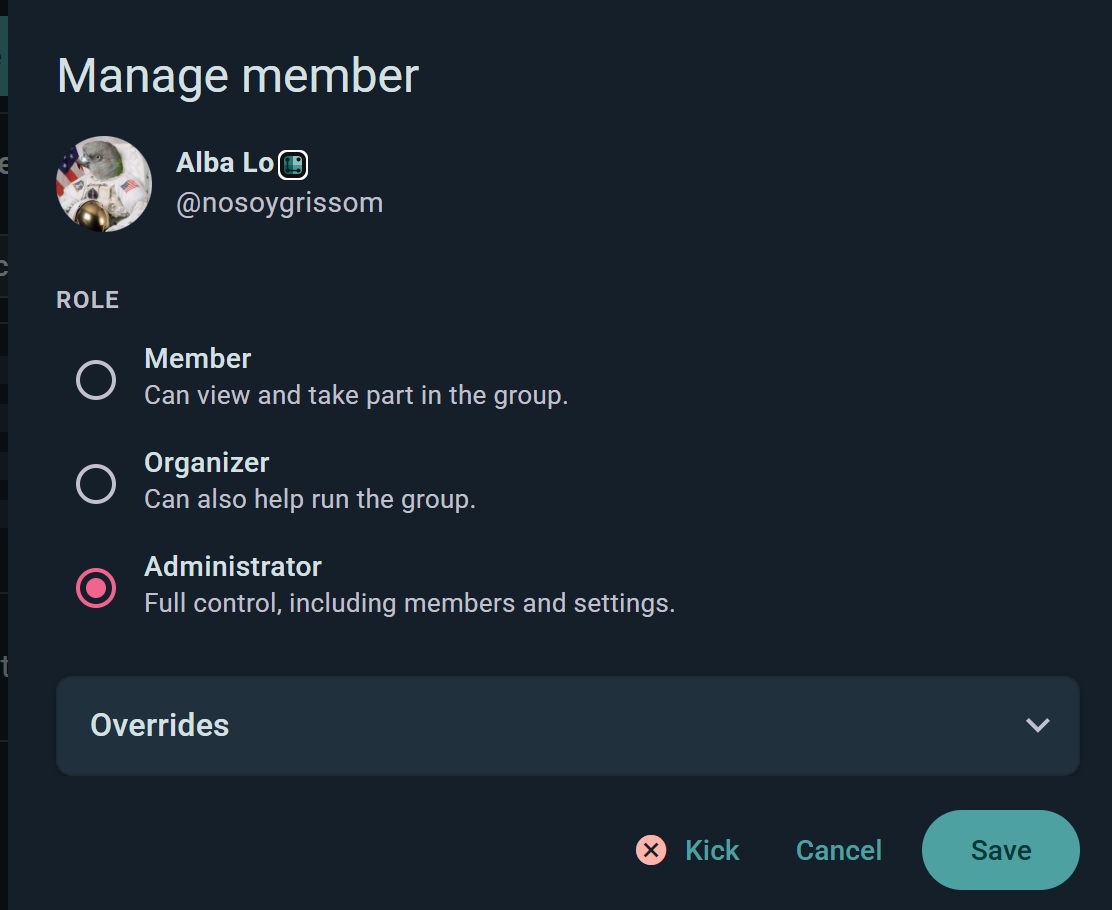 The Manage member dialog with role selection and overrides